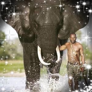 Meet your Posher, Dwight